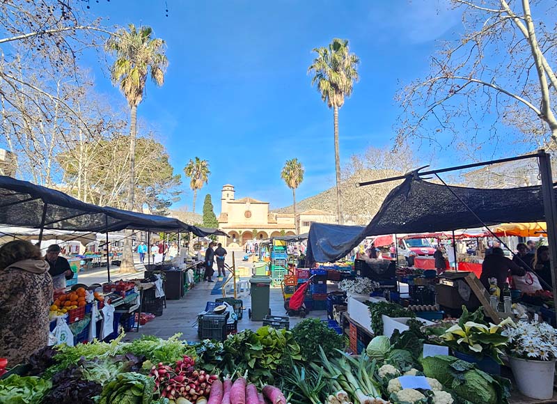 Puerto Pollensa Market