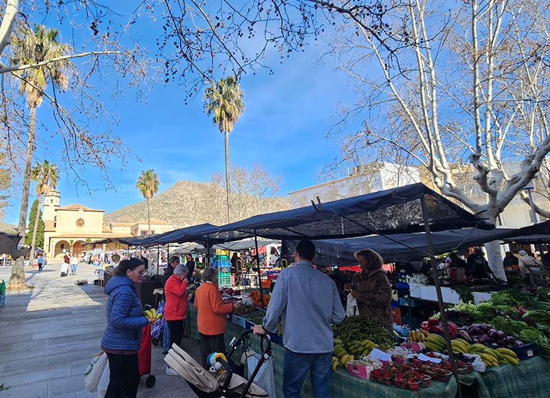 Puerto Pollensa Market