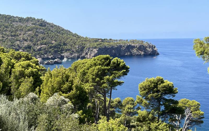 Vista de la zona de Cala Deià con vegetación alrededor
