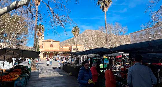 Mercado de Puerto Pollensa