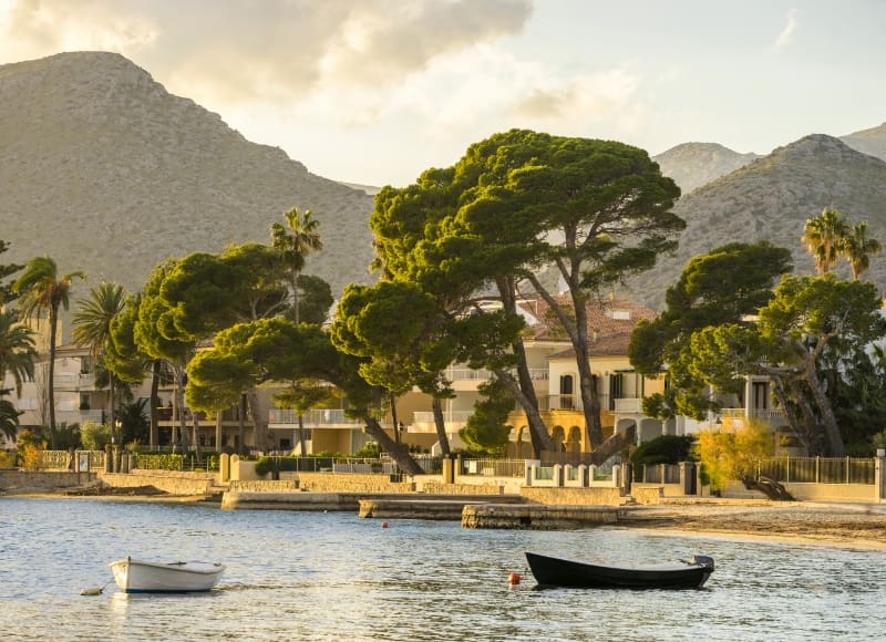 Paseo de los pinos Puerto Pollensa