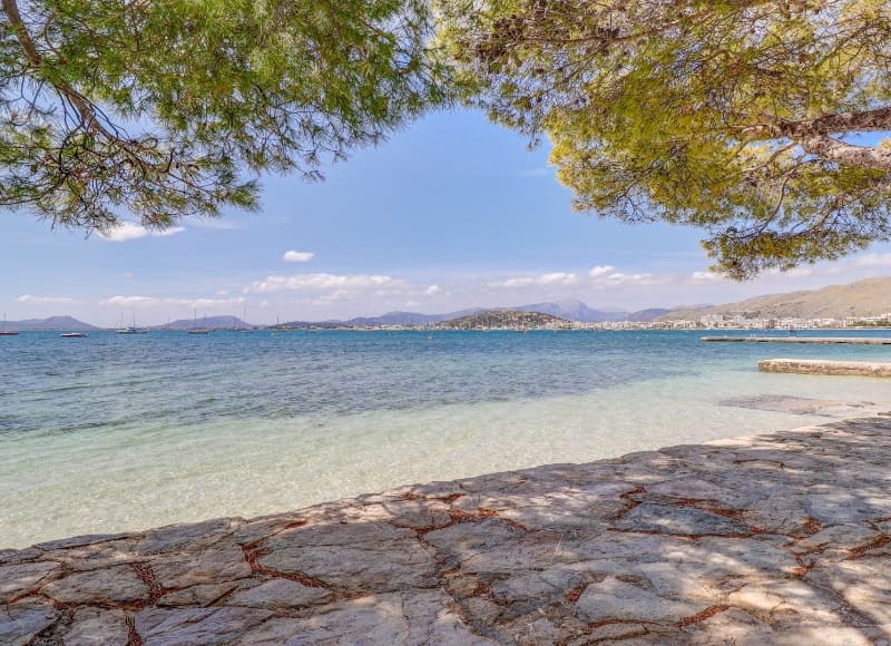 Puerto de Pollensa beach