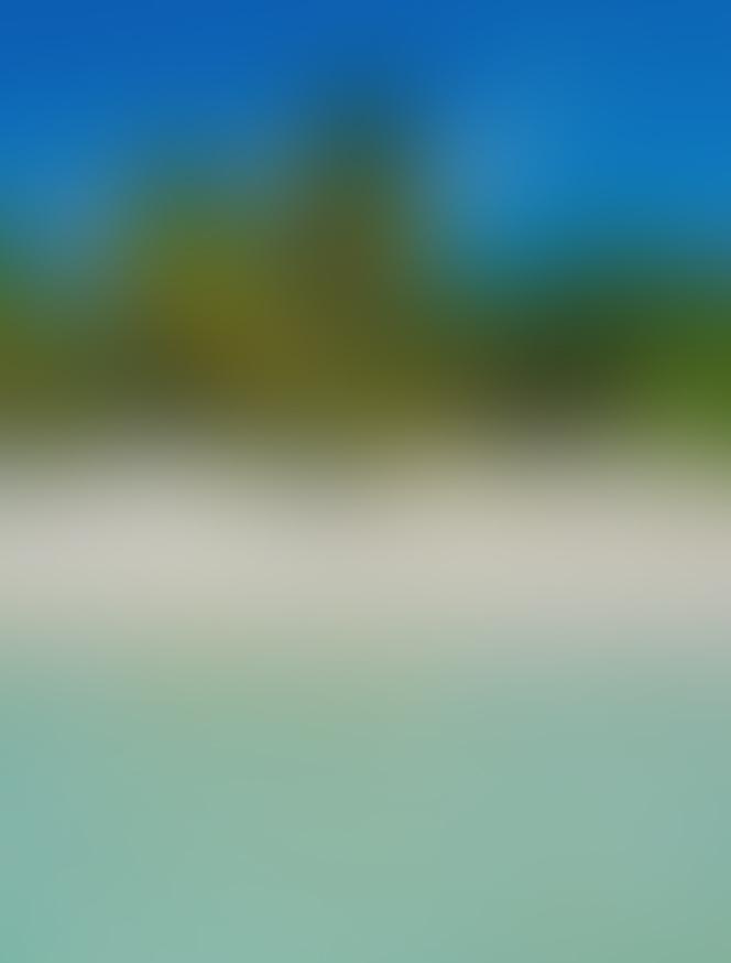 Isla Mujeres Dos